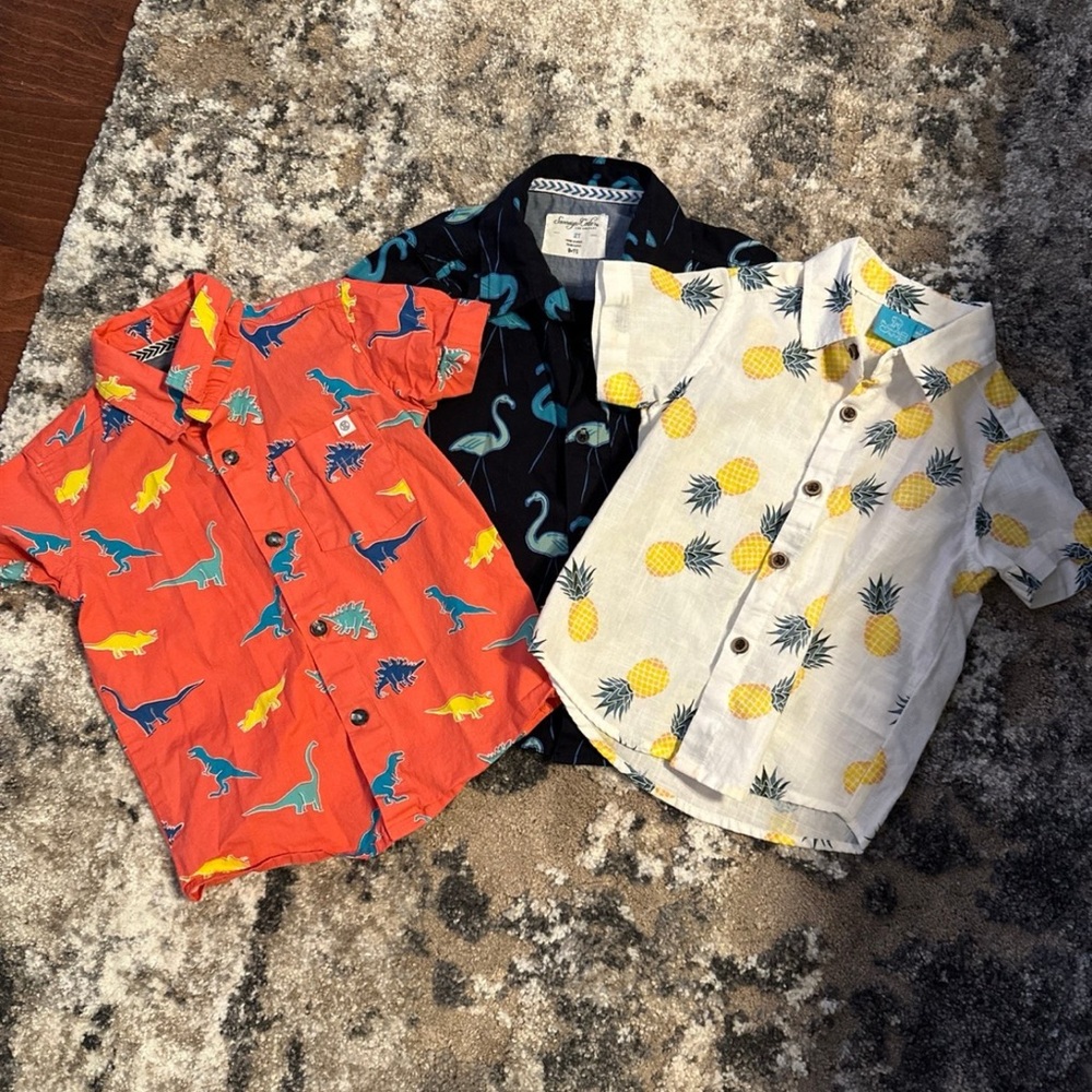 Stitchfix boy 2T bundle, button down shirts